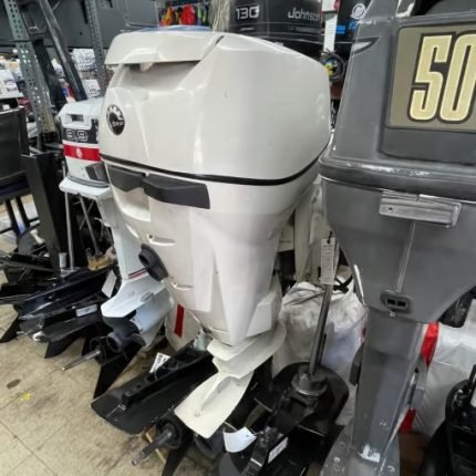 2010 Evinrude 25HP Etec Outboard Motor